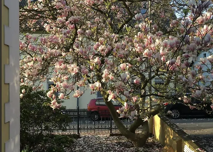 Beautiful In A Historic * 哈廷根